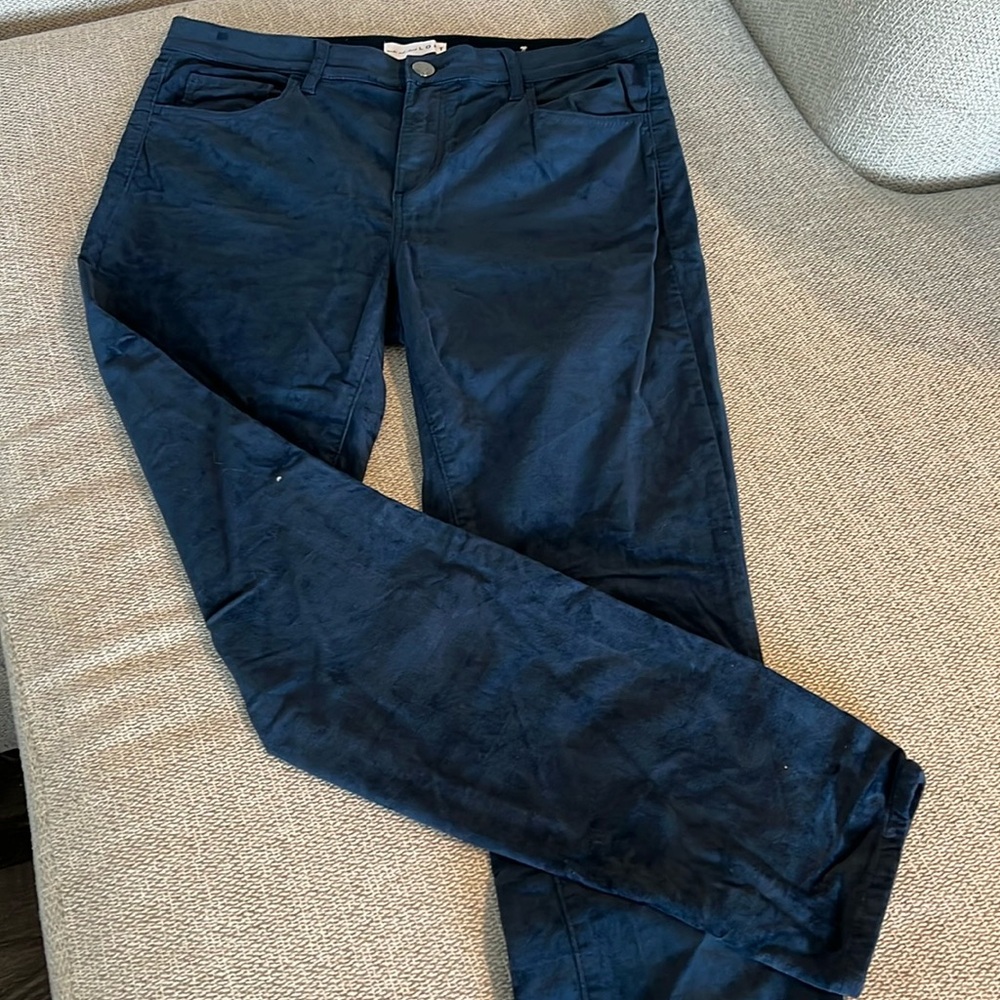NWOT LOFT velvet skinny pants Size: 29/8                     5 pocket pants